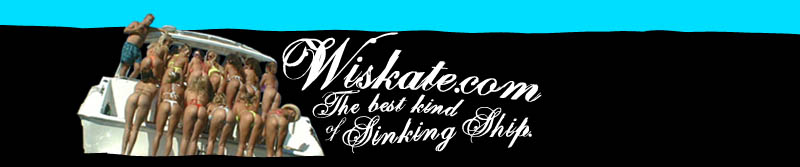 wiskate.com - We Hate You All