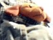 The Video Sack by: Billy Bloggins - Vol 1